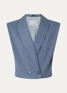 Dante 6 Dames Jarod doube-breasted gilet met krijtstreep in de kleur Staalblauw, maat: 40