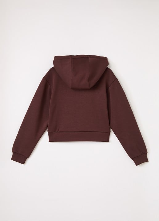 Aaiko Haylee hoodie met logo - voorkant 3 bruin