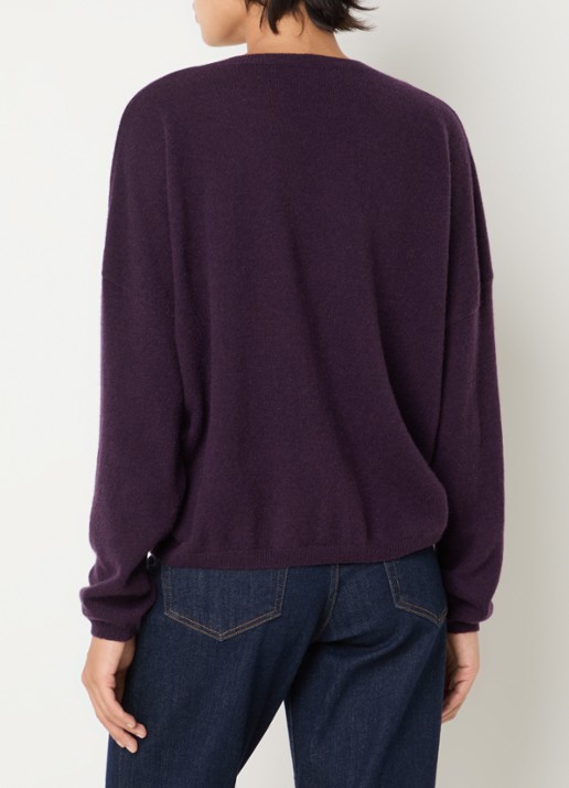 Absolut Cashmere. Alicia fijngebreide pullover van kasjmier met V-hals - achterkant 4 aubergine