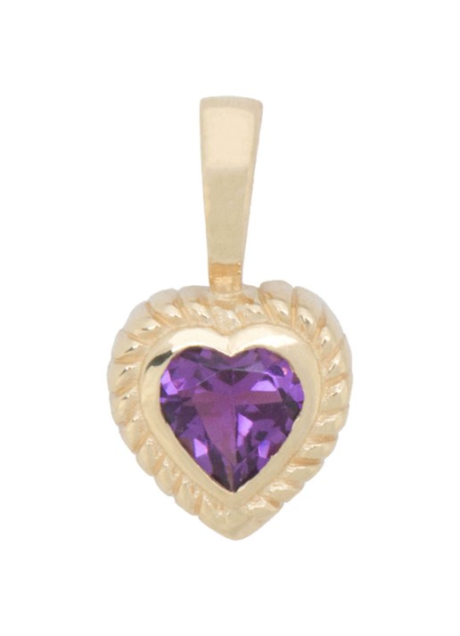 Anna + Nina Heart hanger van 14 karaat geelgoud met amethist