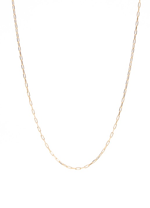 Anna + Nina Link ketting verguld