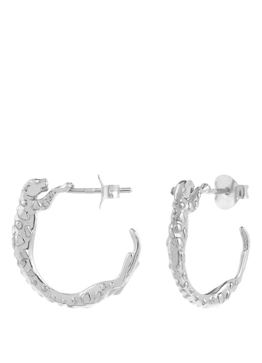 Anna + Nina Small Wild Arc oorringen  - detail zilver