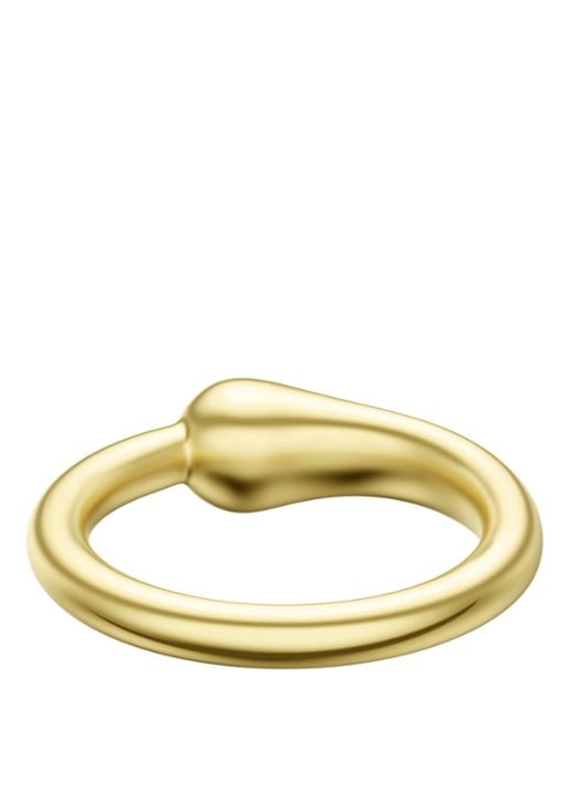 Armani Iconic Trend ring verguld EGS3393710 - detail 2 goud