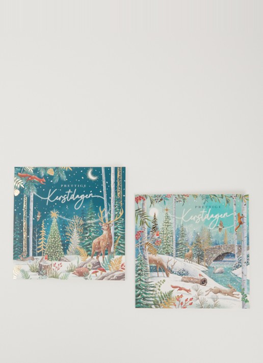 Art Group Goede Doelen kerstkaart - 2 designs - set van 10 inclusief enveloppen - voorkant 2 donkergroen