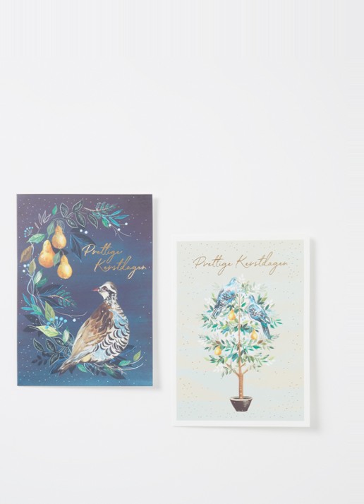 Art Group Vogels met peren kerstkaart - 2 designs - set van 10 inclusief enveloppen - voorkant 2 abrikoos