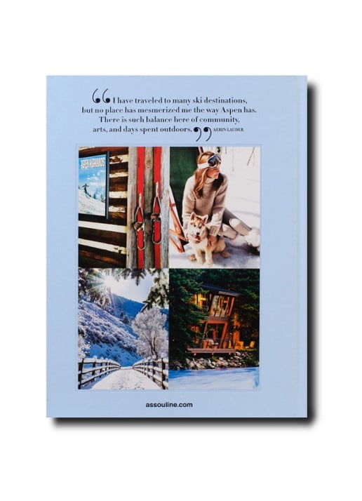 Assouline Aspen Style - detail 2 lichtblauw