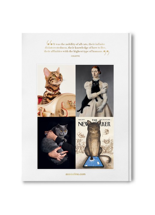 Assouline Chic Cats - achterkant multicolor