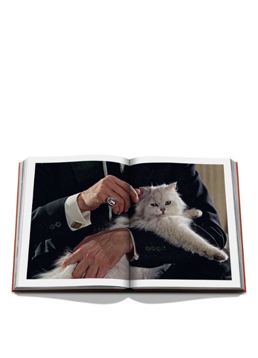 Assouline Chic Cats - detail 4 multicolor