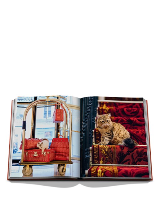 Assouline Chic Cats - detail 5 multicolor