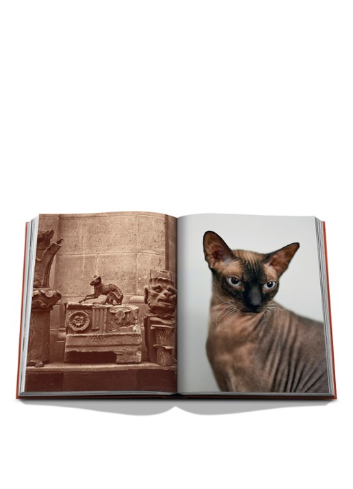 Assouline Chic Cats - voorkant 8 multicolor