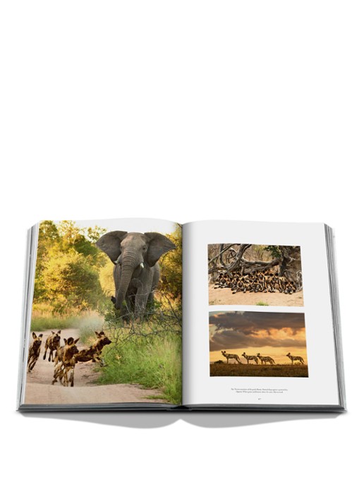 Assouline Londolozi: The Safari That Changed Everything - detail 7 multicolor