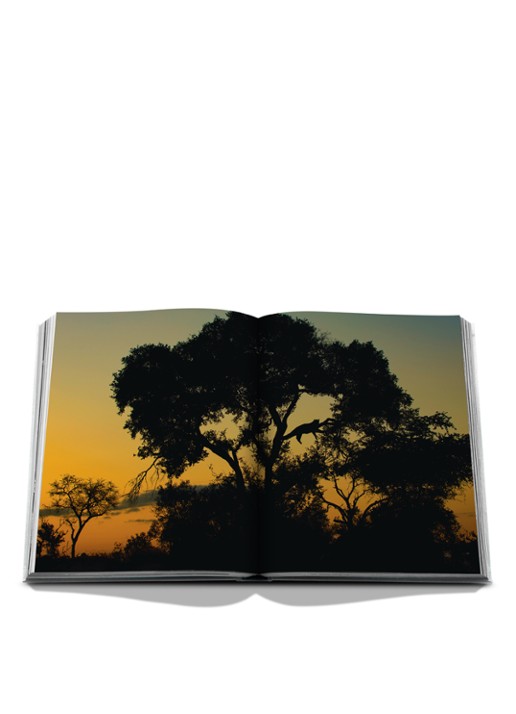 Assouline Londolozi: The Safari That Changed Everything - voorkant 2 multicolor