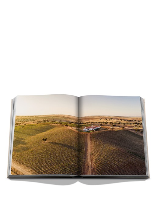 Assouline Malhadinha: The Soul of Alentejo - detail multicolor