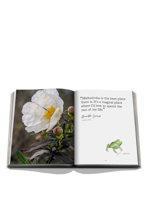 Assouline Malhadinha: The Soul of Alentejo - detail 4 multicolor