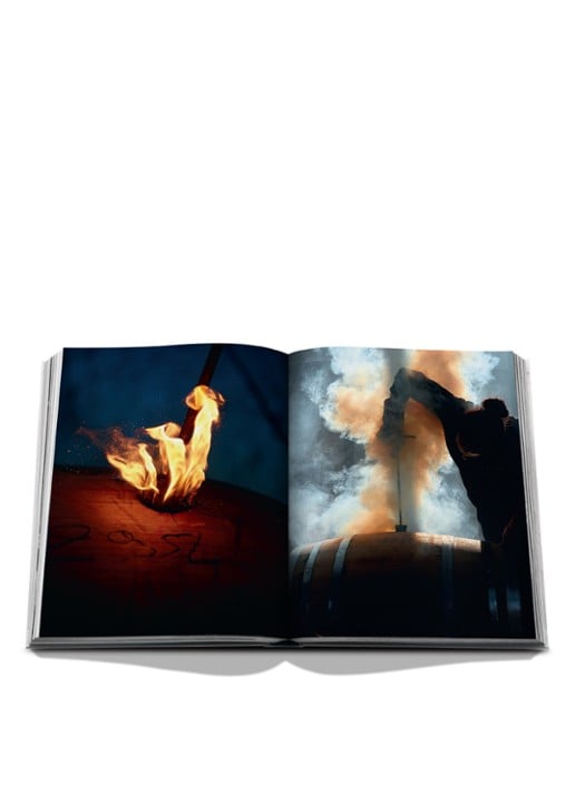 Assouline Oak, Wine & Spirits: A Tale of Alchemy - detail 6 multicolor