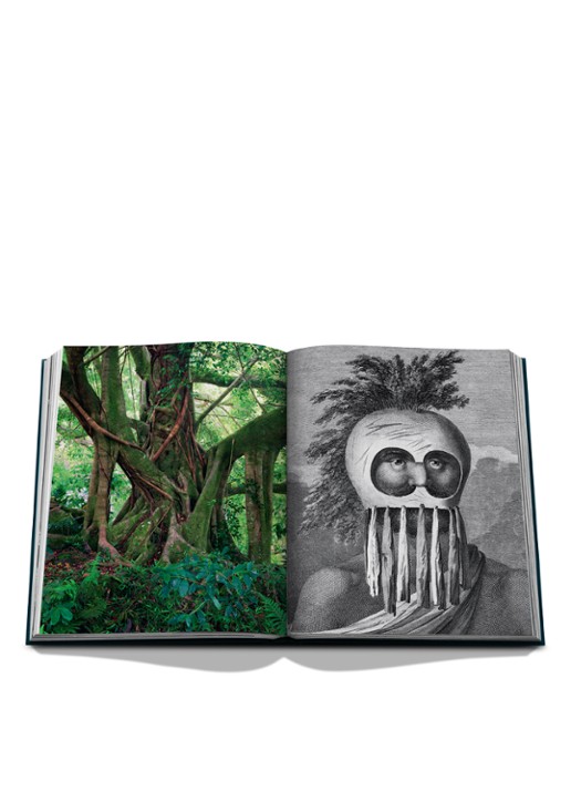 Assouline Pacific Islands: James Cook Voyages - detail 7 multicolor