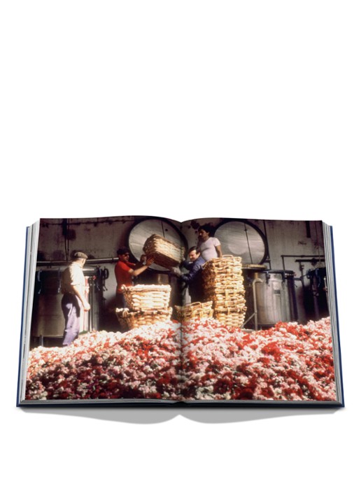 Assouline Robertet: From Seed to Scent - detail 6 multicolor