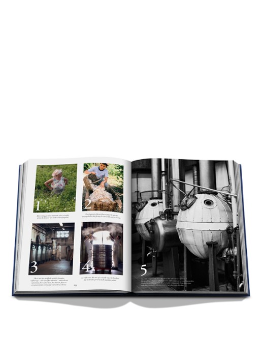 Assouline Robertet: From Seed to Scent - detail 8 multicolor
