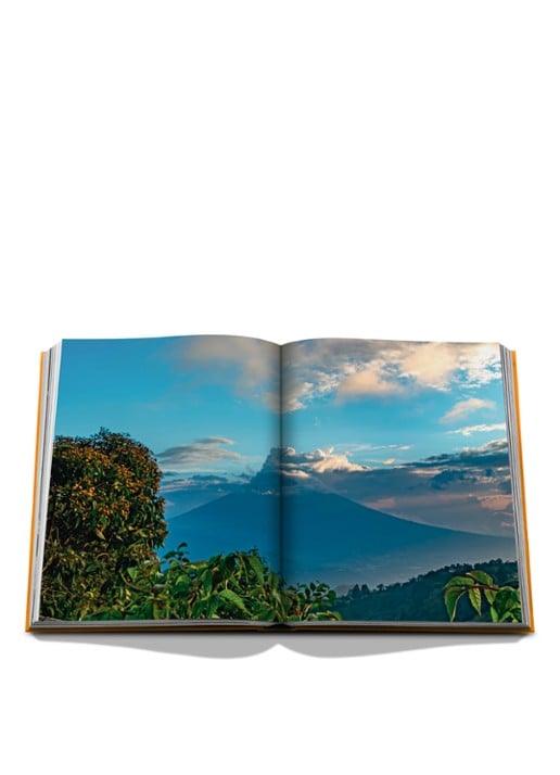 Assouline Ron Zacapa from Guatemala - detail 7 multicolor