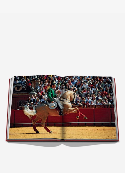 Assouline Sevilla Arte - detail donkerrood