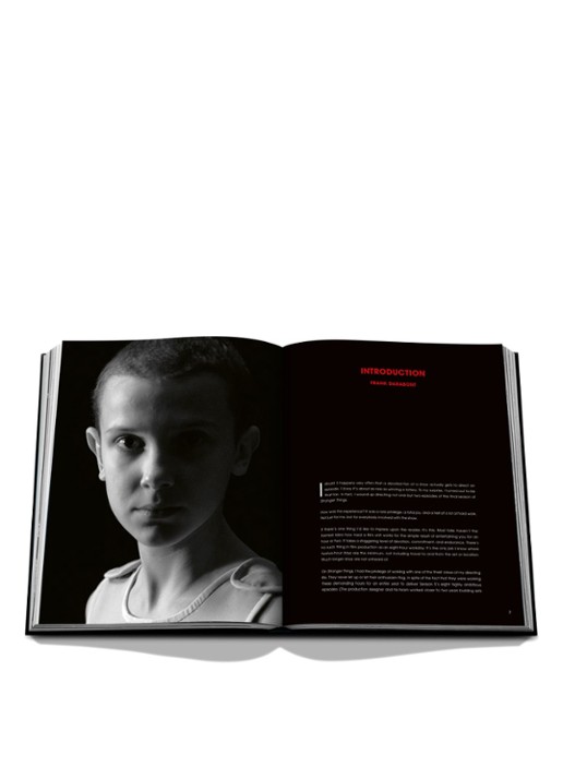 Assouline Stranger Things - detail 4 rood