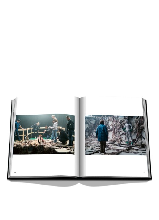 Assouline Stranger Things - detail 6 rood