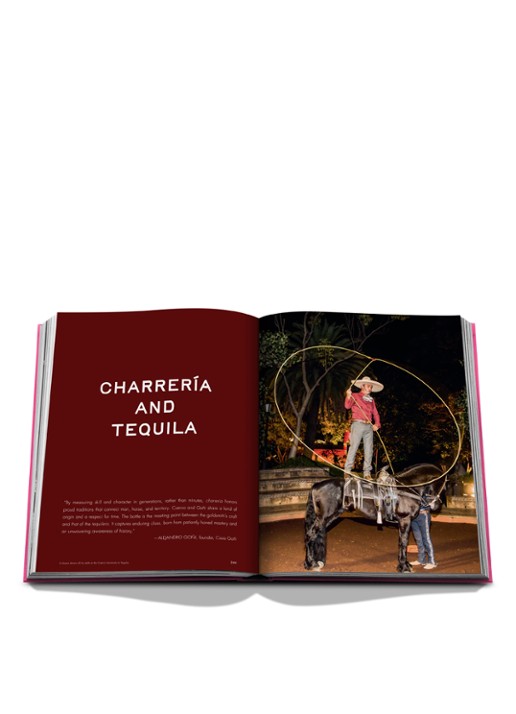 Assouline The Art of Tequila: Spirit of Mexico - detail 7 multicolor