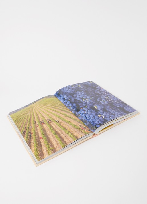 Assouline Wine & Travel Italy - voorkant 2 zalmroze