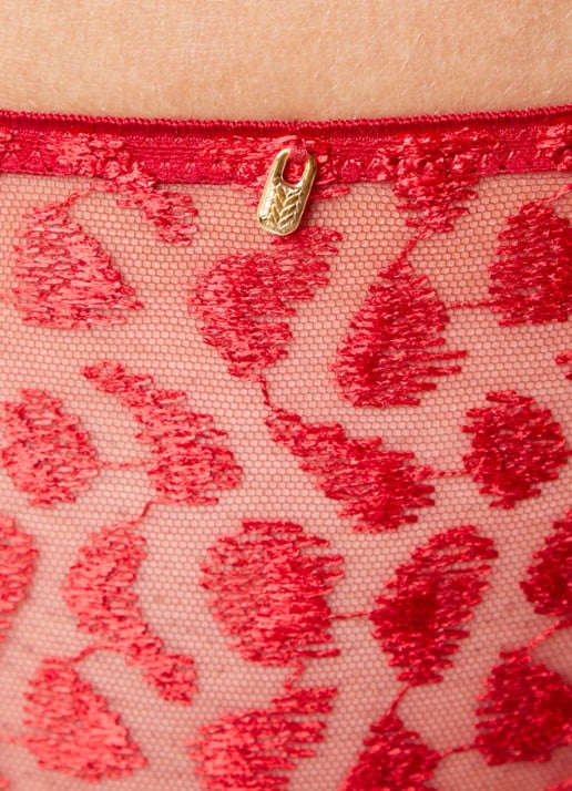 Aubade Crazy In Love hipster van mesh - detail 2 rood