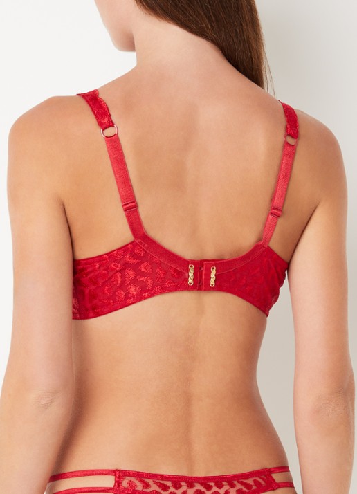Aubade Crazy In Love push-up bh met overlay van mesh - achterkant rood