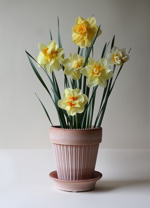 Bergs Potter Simona bloempot voor binnen en buiten Ø18 cm - voorkant 3 donkerbeige