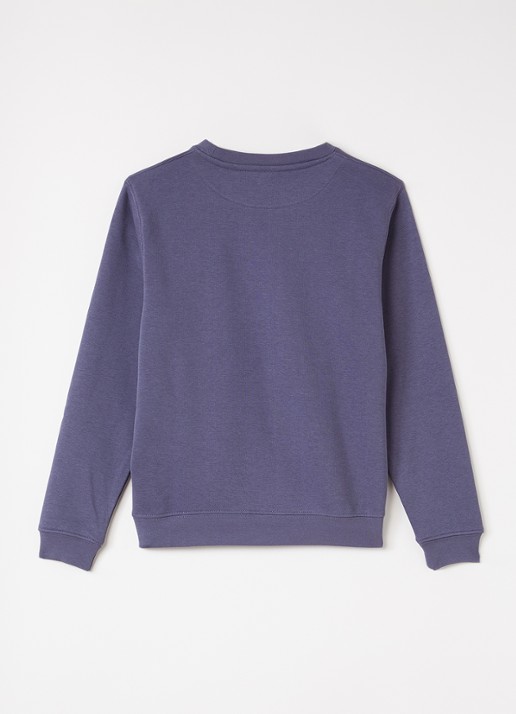 Björn Borg Borg Classic sweater met logoborduring - voorkant 3 staalblauw