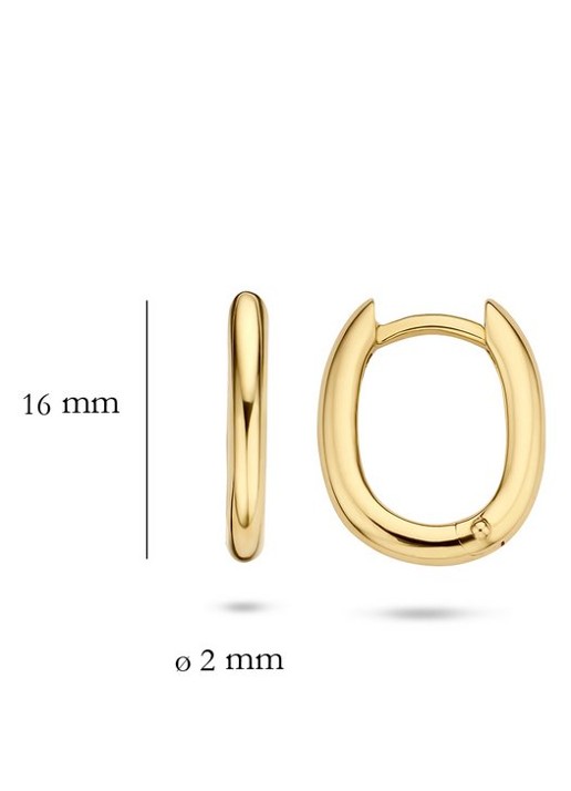 Blush Blush Oorbellen - detail 3 goud