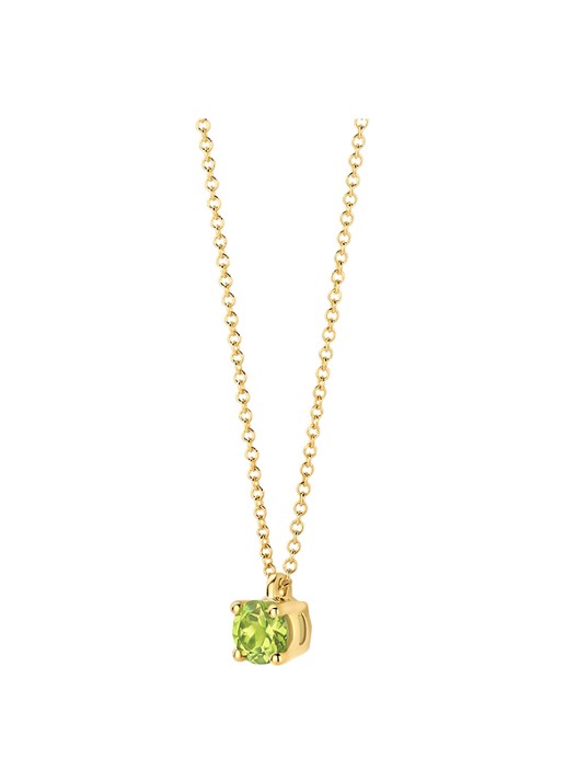 Blush Ketting van 14 karaat geelgoud 3200YGP  - detail geelgoud