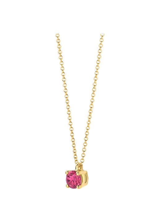 Blush Ketting van 14 karaat geelgoud 3200YPT - detail geelgoud