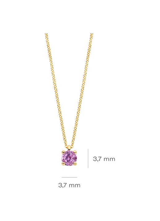 Blush Ketting van 14 karaat geelgoud met amesthist 3200YPA - detail 4 geelgoud