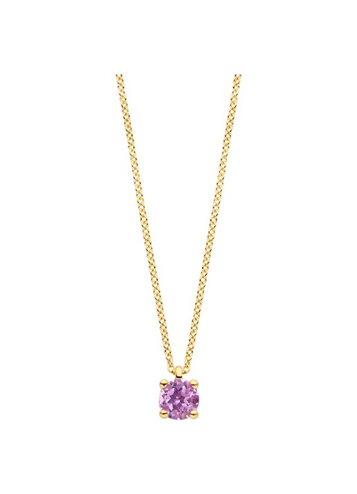 Blush Ketting van 14 karaat geelgoud met amesthist 3200YPA