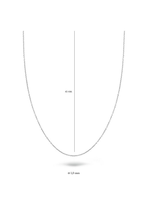 Blush Ketting van 14 karaat witgoud 3046WGO - detail witgoud