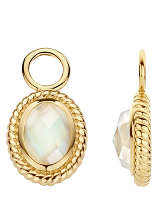 Blush Oorbedels van 14 karaat geelgoud 9091YMQ - detail goud