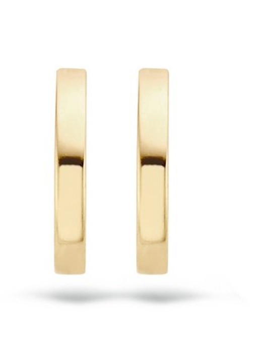 Blush Oorringen van 14 karaat geelgoud 7202YGO - detail 3 goud