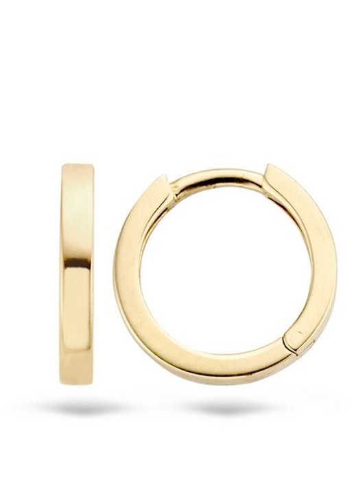 Blush Oorringen van 14 karaat geelgoud 7202YGO - detail 4 goud