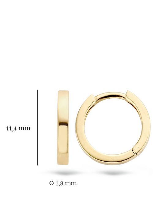 Blush Oorringen van 14 karaat geelgoud 7202YGO - detail 5 goud
