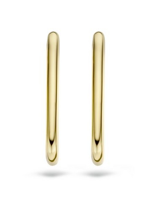 Blush Oorringen van 14 karaat geelgoud 7295YGO - detail 3 goud