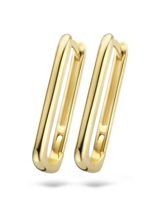 Blush Oorringen van 14 karaat geelgoud 7295YGO