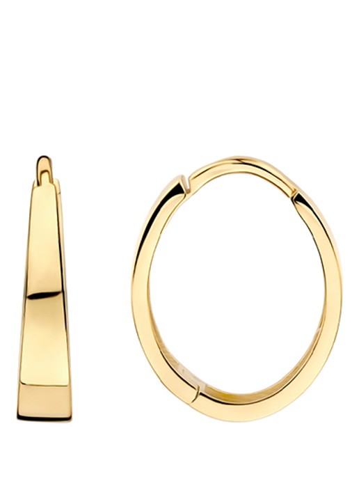 Blush Oorringen van 14 karaat geelgoud 7379YGO - detail 2 goud