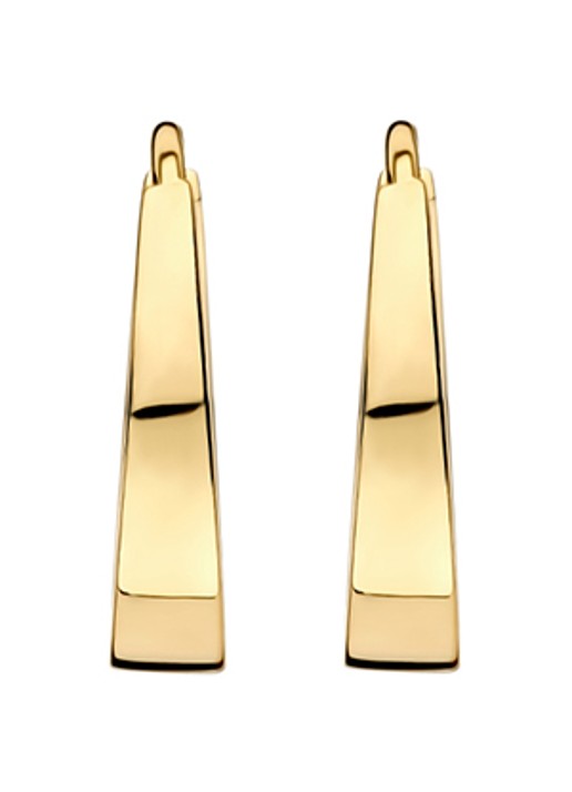 Blush Oorringen van 14 karaat geelgoud 7379YGO - voorkant 4 goud