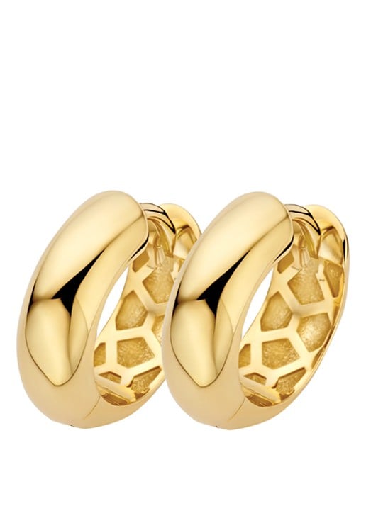 Blush Oorringen van 14 karaat geelgoud 7388YGO