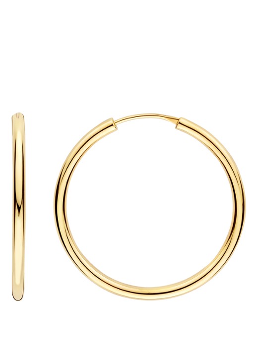 Blush Oorringen van 14 karaat geelgoud 7409YGO - detail undefined