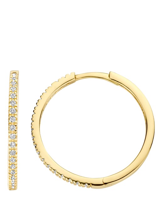 Blush Oorringen van 14 karaat geelgoud met zirkonia 7306YZI - detail geelgoud