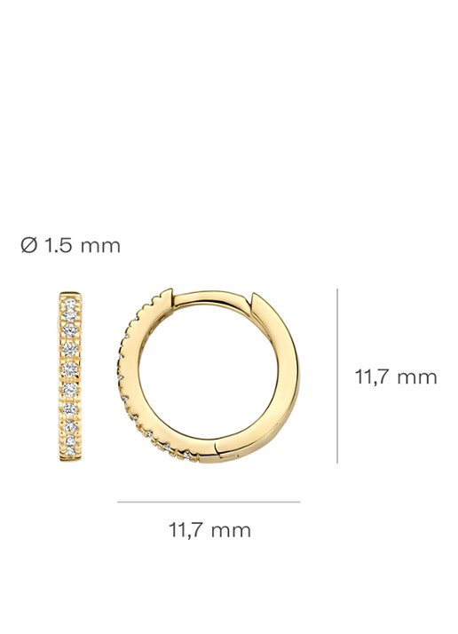 Blush Oorringen van 14 karaat geelgoud met zirkonia 7307YZI  - detail 2 geelgoud